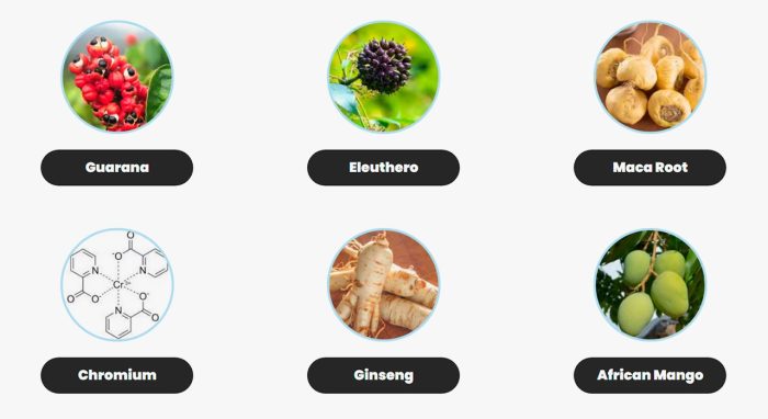 Free Sugar Pro: Latest Research Included - Is It Fit For You? - Image 2