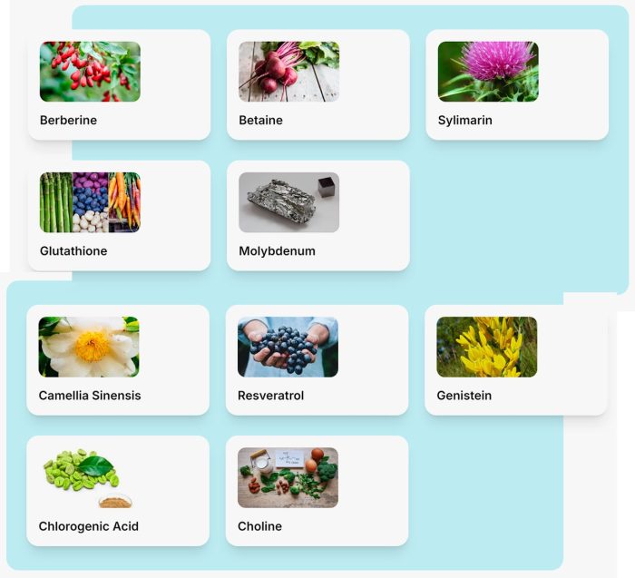 LIVCARE Liver Support - Image 3