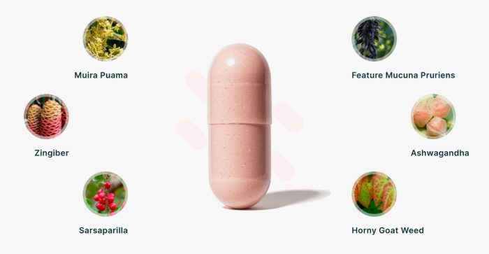 MenoPhix: Latest Research Included - Is It Fit For You? - Image 3