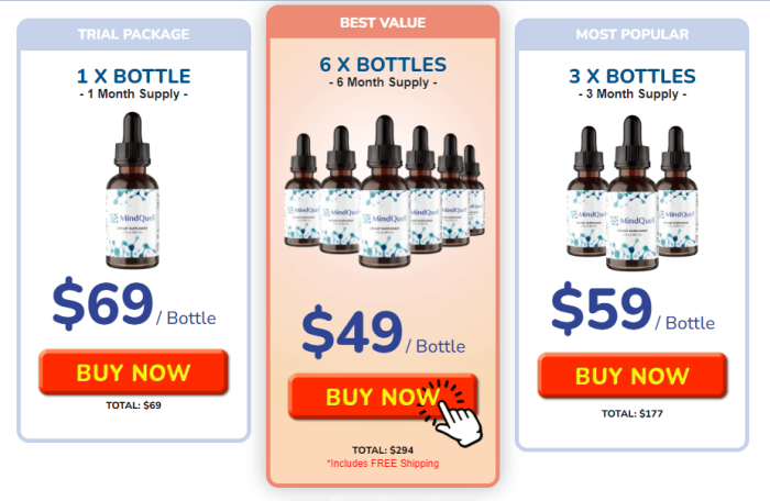 MindQuell: Latest Research Included - Is It Fit For You? - Image 2