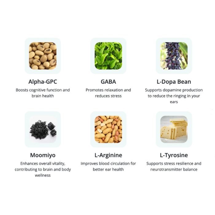 NeuroQuiet Supplement: Latest Research Included - Is It Fit For You? - Image 2