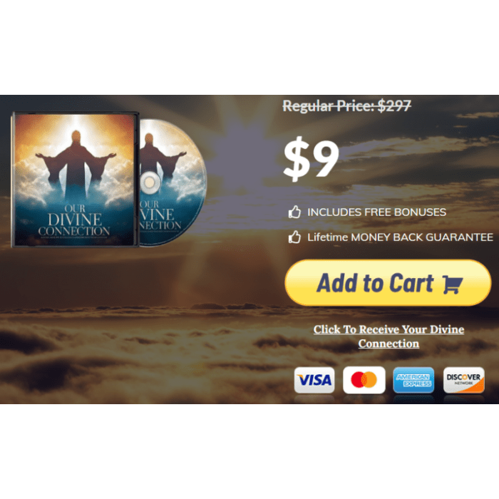 Our Divine Connection - Image 2
