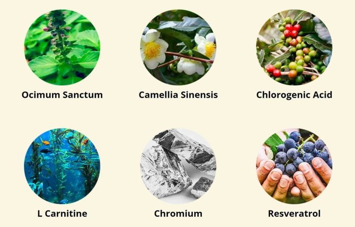 Sync’s Sunlight-Based Metabolism Booster - Image 2