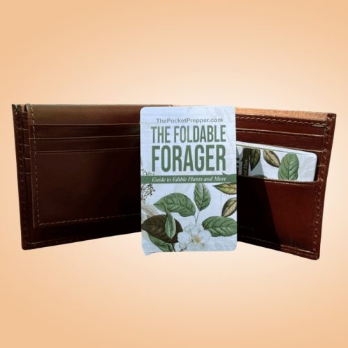 The Foldable Forager