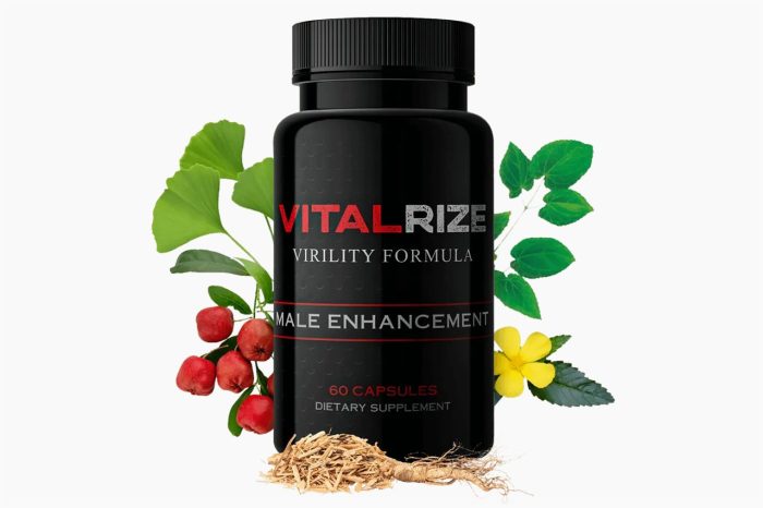 VitalRIZE: Latest Research Included - Is It Fit For You?
