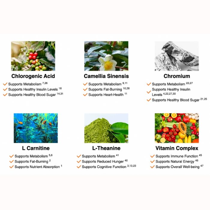 Java Burn Weight Loss - Image 2