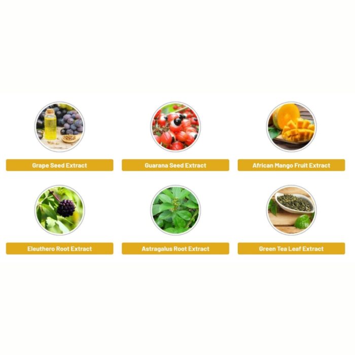 Lipo Slim Supplement - Image 2