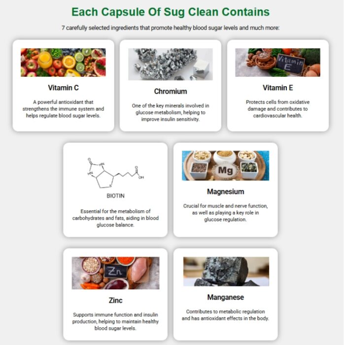 SugClean Complete - Image 3