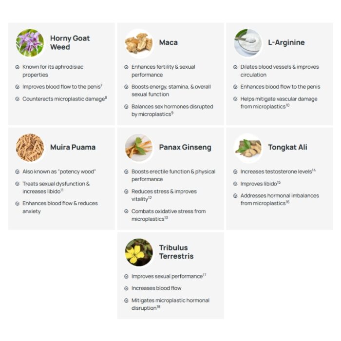 PrimeBoost Supplement - Image 3