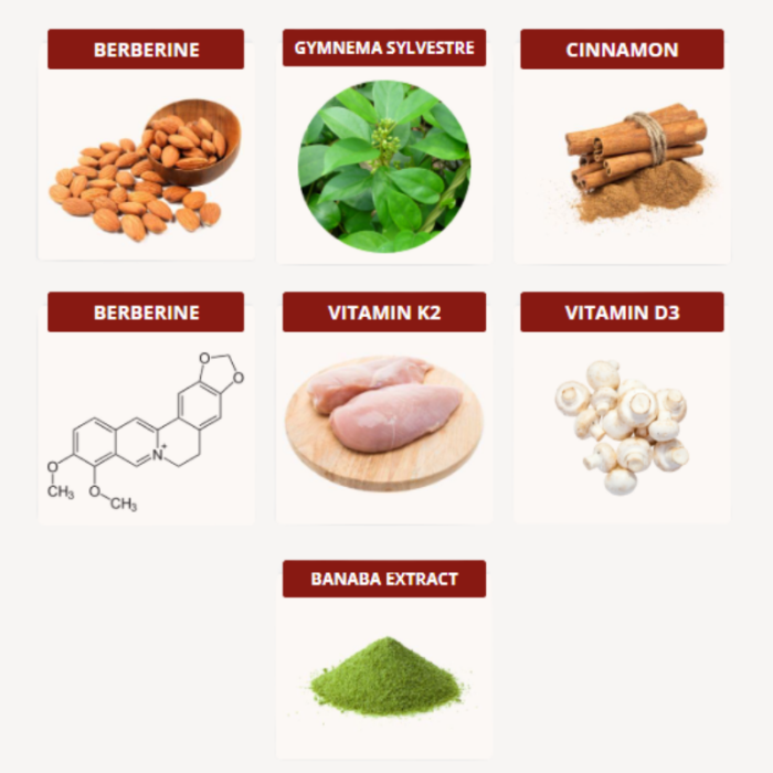 Blood Sugar Support + - Image 2